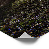 Alter Baum, Wintersonne Poster (Ecke)