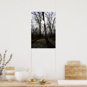 Alter Baum, Wintersonne Poster (Küche)