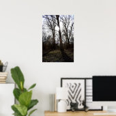 Alter Baum, Wintersonne Poster (Heimbüro)