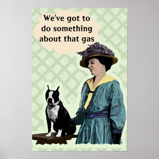 Alter BostonTerrier Poster (Vorne)