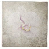 Alter botanischer Tile - Aqua und Knochen V5 Fliese (Vorderseite)