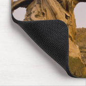 Alter Bristlecone-Wald, Weiße Berge, CA Mousepad (Ecke)