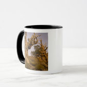 Alter Bristlecone-Wald, Weiße Berge, CA Tasse (Vorderseite Links)