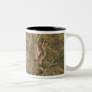 Alter Buchen-Baum Zweifarbige Tasse