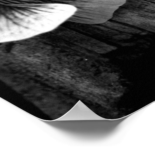 Alter der Nichtigkeit Poster (Ecke)