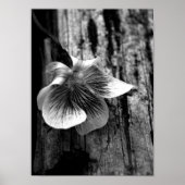 Alter der Nichtigkeit Poster (Vorne)