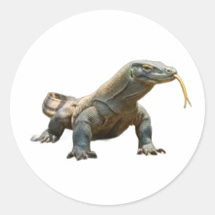 Alter Drache Komodo Indonesien-Erbe-Aufkleber Runder Aufkleber