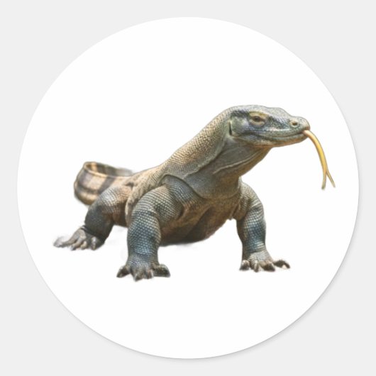 Alter Drache Komodo Indonesien-Erbe-Aufkleber Runder Aufkleber (Vorderseite)