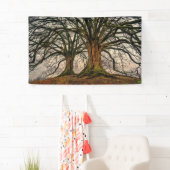 Alter Eichenbaum im Winter Banner (Insitu)