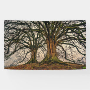Alter Eichenbaum im Winter Banner