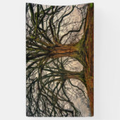 Alter Eichenbaum im Winter Banner (Vertikal)