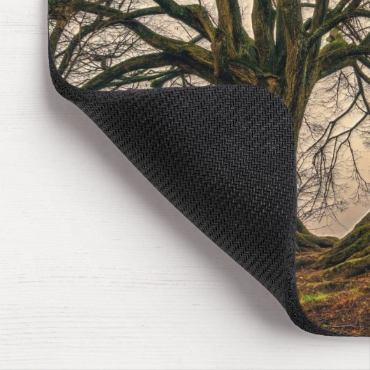 Alter Eichenbaum im Winter Mousepad (Ecke)