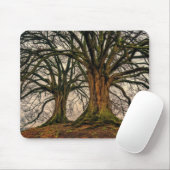 Alter Eichenbaum im Winter Mousepad (Mit Mouse)