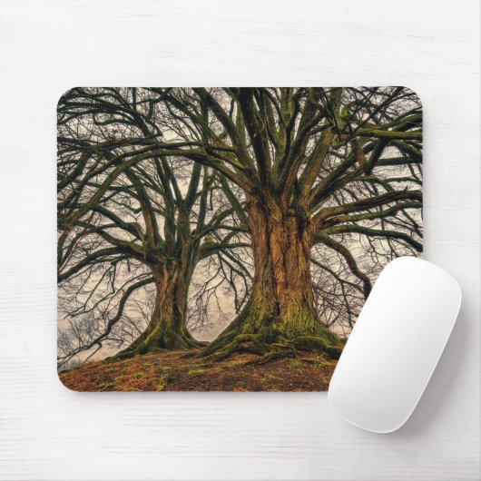Alter Eichenbaum im Winter Mousepad (Mit Mouse)