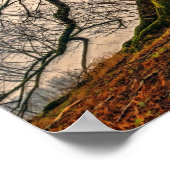 Alter Eichenbaum im Winter Poster (Ecke)