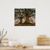 Alter Eichenbaum im Winter Poster (Küche)