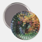 Alter Eichenbaum....... Magnet (Vorderseite/Rückseite)