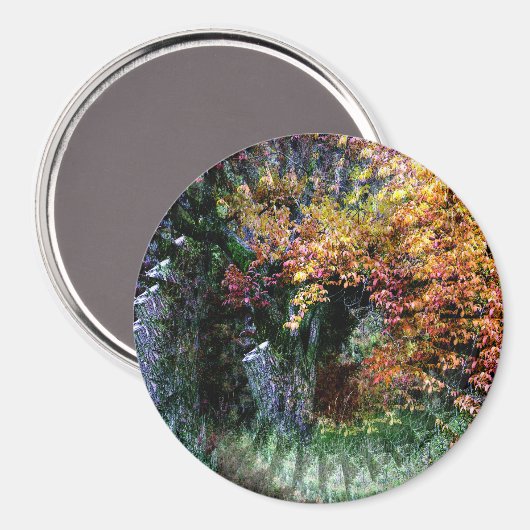 Alter Eichenbaum....... Magnet (Vorderseite/Rückseite)