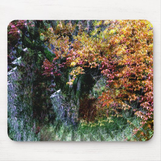 Alter Eichenbaum....... Mousepad (Vorne)