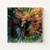 Alter Eichenbaum...... Notizblock (Rückseite)