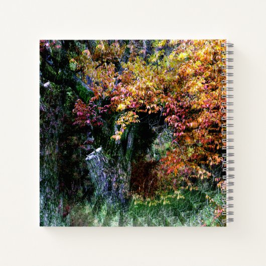 Alter Eichenbaum...... Notizblock (Rückseite)