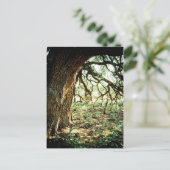 Alter Eichenbaum Postkarte (Stehend Vorderseite)