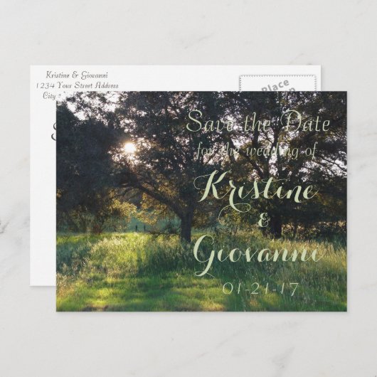 Alter Eichenbaum - Save the Date Ankündigungspostkarte (Vorne/Hinten)