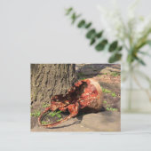 alter Eimer Postkarte (Stehend Vorderseite)