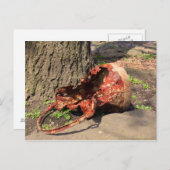 alter Eimer Postkarte (Vorne/Hinten)