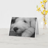 Alter englischer Schäferhund Karte (Gelbe Blume)