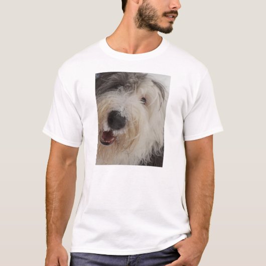 Alter englischer Schäferhund - Schnee-Gesichts-T - T-Shirt (Vorderseite)