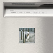 Alter englischer Schafhund 2 Magnet (In Situ (Geschirrspüler))