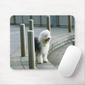 Alter englischer Schafhund 2 Mousepad (Mit Mouse)