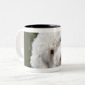 alter englischer Schafhund Zweifarbige Tasse (Vorderseite Links)