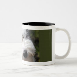 alter englischer Schafhund Zweifarbige Tasse