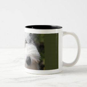 alter englischer Schafhund Zweifarbige Tasse