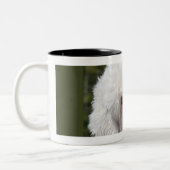 alter englischer Schafhund Zweifarbige Tasse (Links)