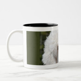 alter englischer Schafhund Zweifarbige Tasse