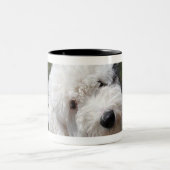 alter englischer Schafhund Zweifarbige Tasse (Mittel)