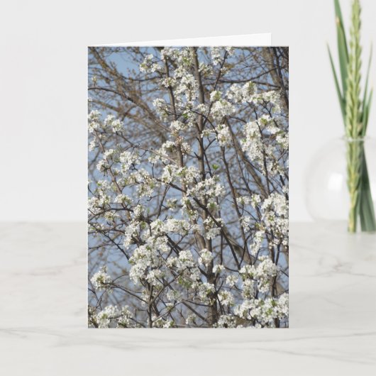 Alter Freund durch die Jahreszeiten des Lebens Dankeskarte (Vorderseite)