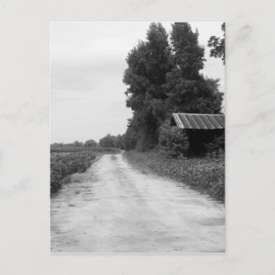 Alter Gebäude-Stall in North Carolina Postkarte