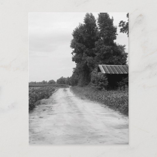 Alter Gebäude-Stall in North Carolina Postkarte (Vorderseite)