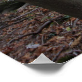 Alter gefallener Baum im Tiefwald im Herbst Imitat Poster (Ecke)