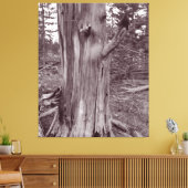 Alter gewitterter Pine Tree Trunk Leinwanddruck (Insitu (Wohnzimmer))