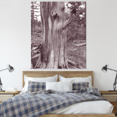 Alter gewitterter Pine Tree Trunk Leinwanddruck (Insitu (Schlafzimmer))
