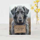 Alter Grauer Hund mit Pappschild Karte (Gelbe Blume)