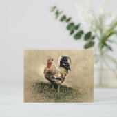 Alter Hahn im Gras Postkarte (Stehend Vorderseite)