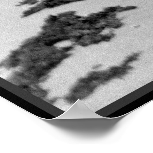 Alter Hawaii Strand Poster (Ecke)