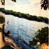 Alter Hickory Lake Duschvorhang