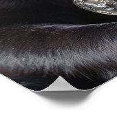 Alter Hund, große Medaillen, größere Legende Poster (Ecke)